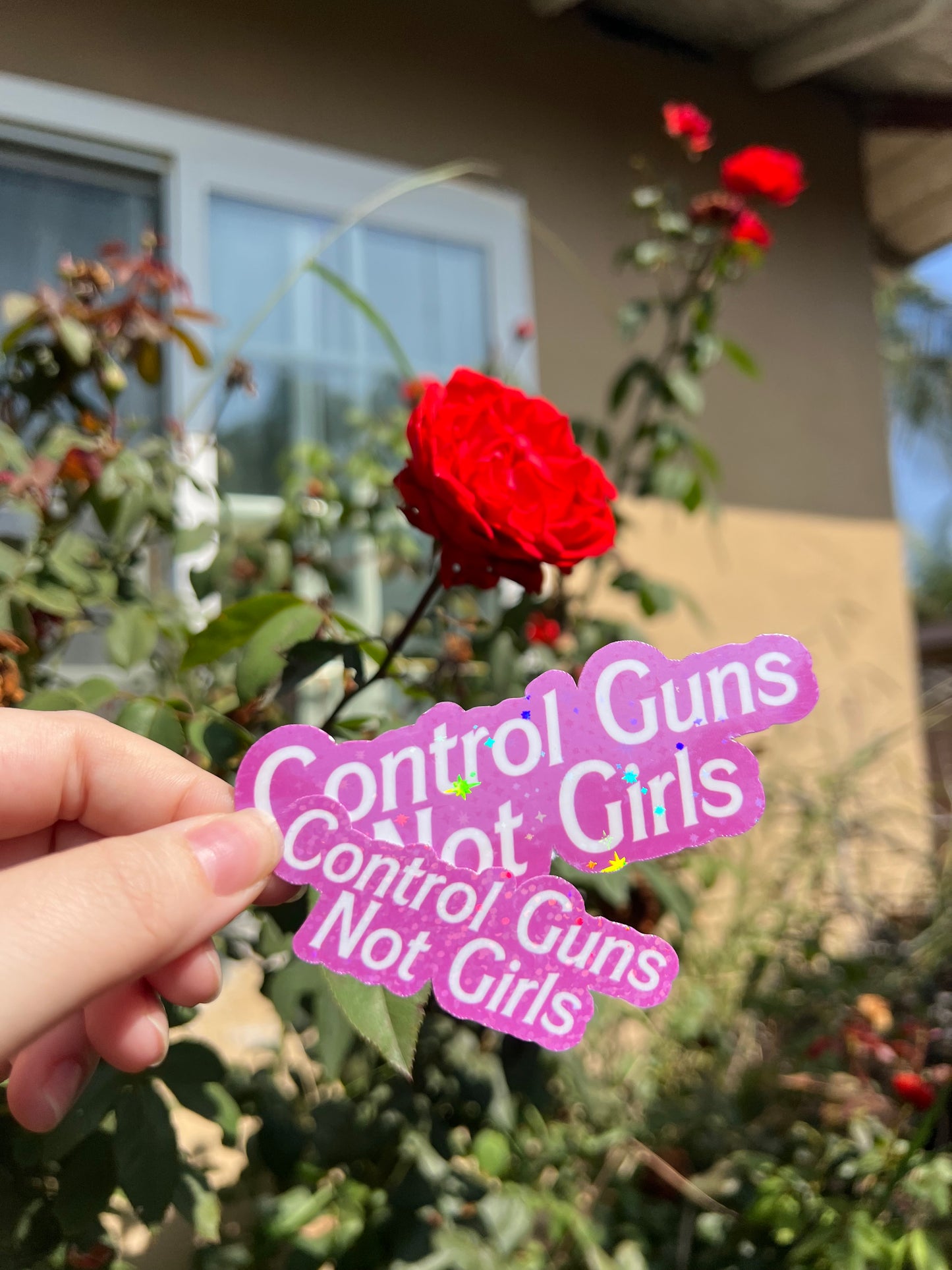 Control Guns Not Girls Sticker