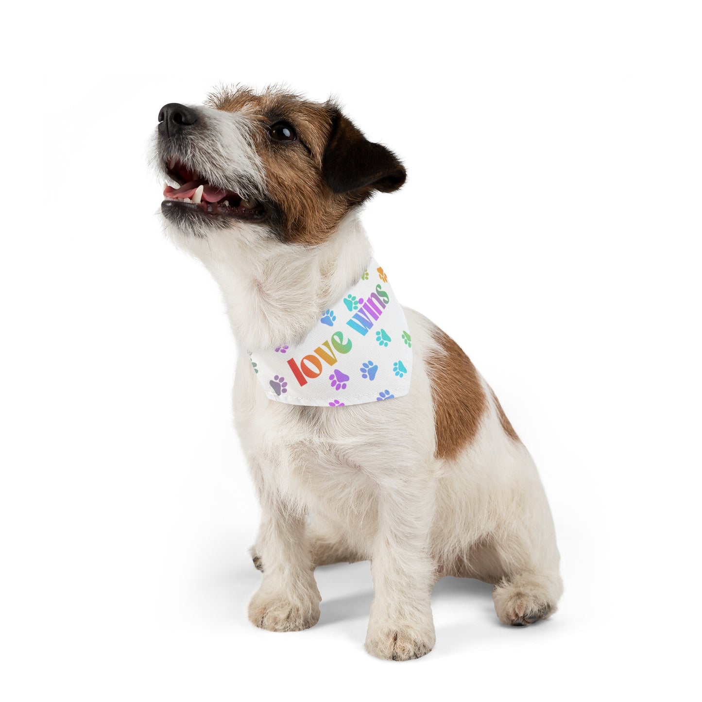 Love Wins Pet Bandana
