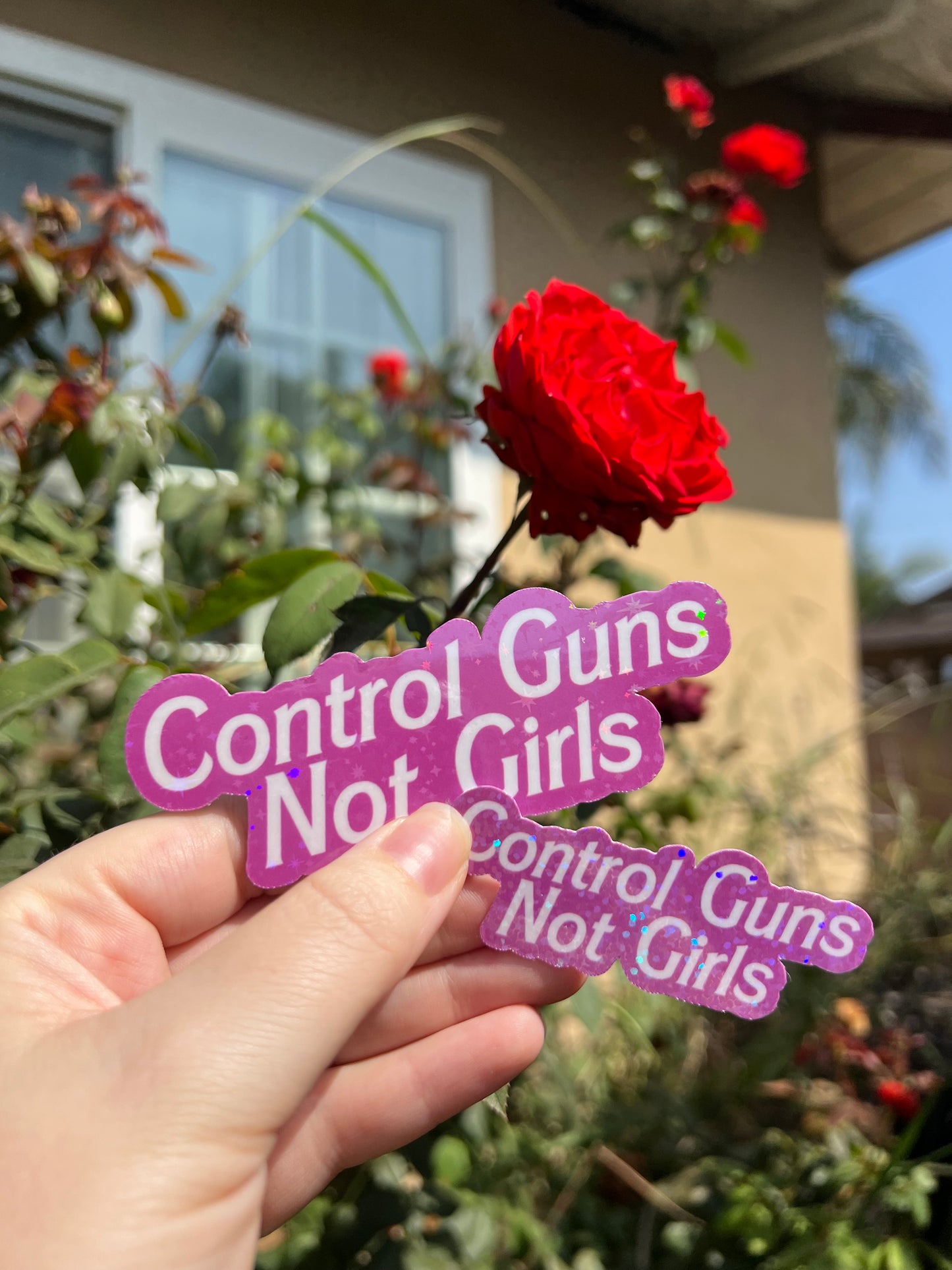 Control Guns Not Girls Sticker