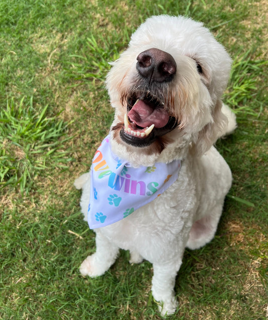 Love Wins Pet Bandana