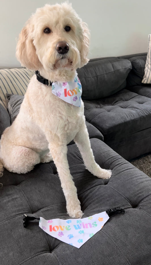 Love Wins Pet Bandana