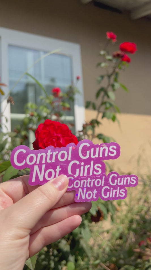Control Guns Not Girls Sticker